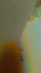 1 00_00_00-00_00_30.gif